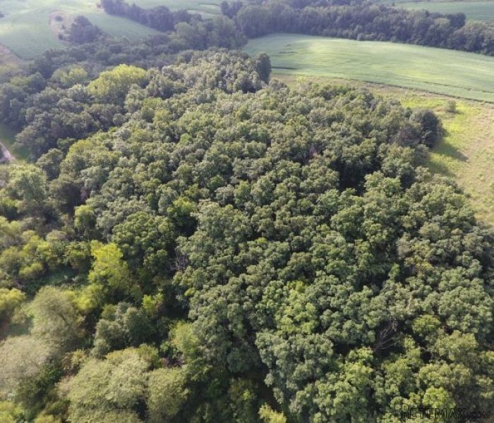 SOLD: 24 +/- Acres Hunting Land For.. - 2