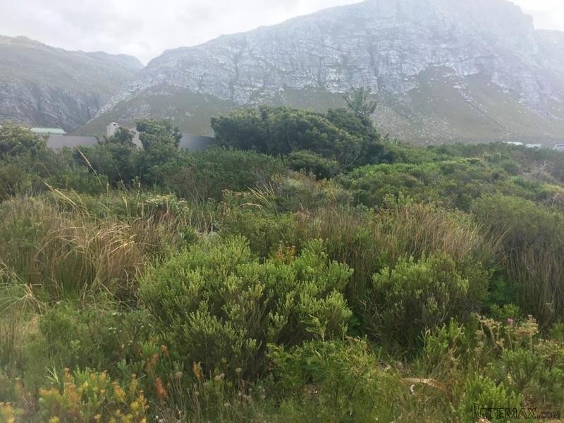 Bettys Bay Vacant Land, Bettys Bay - 2