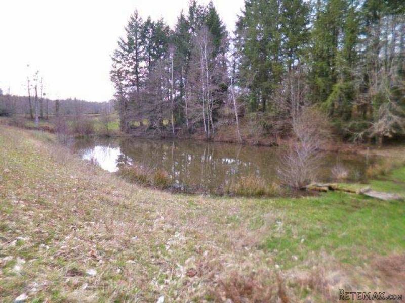 Lake On Almost 4,000 Sqm Of Land In The..