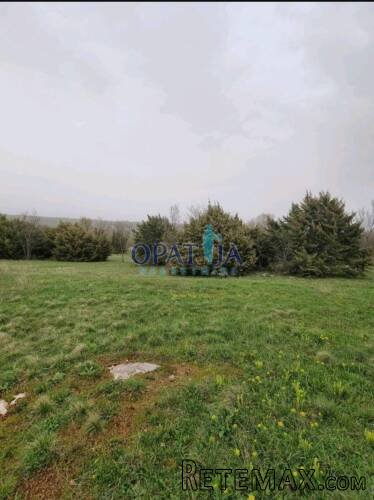 Istra - apsolutna prilika - 2 male kuće sa ukupno 21700 m2 - 2