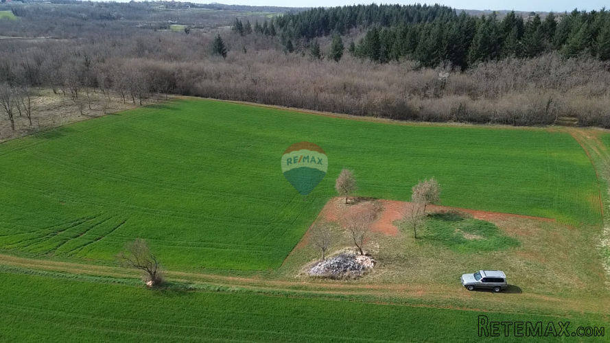Istra, Vižinada, okolica - plodna oranica 11.458 m2 - 2