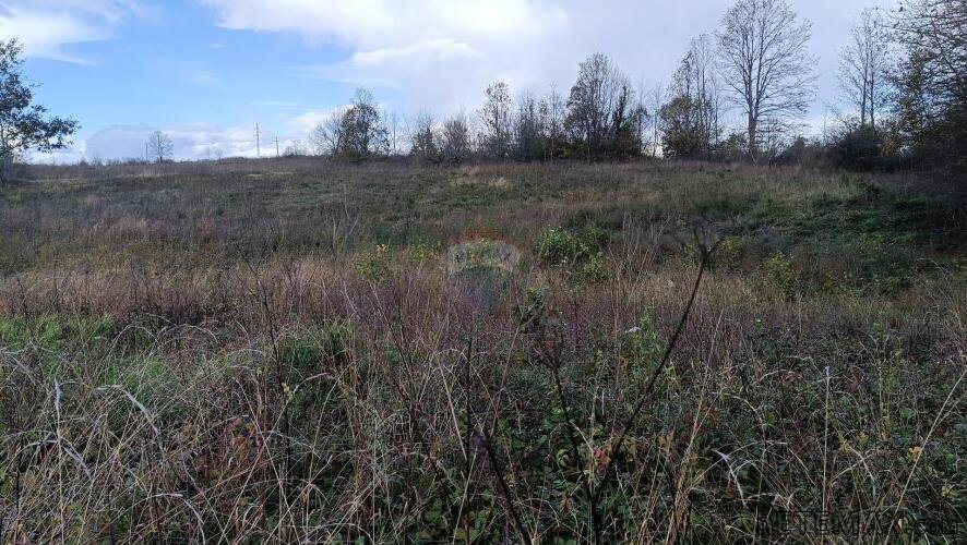 Ogulin,Tržić Tounjski - negrađevinsko zemljište 29,655 m2 - 2