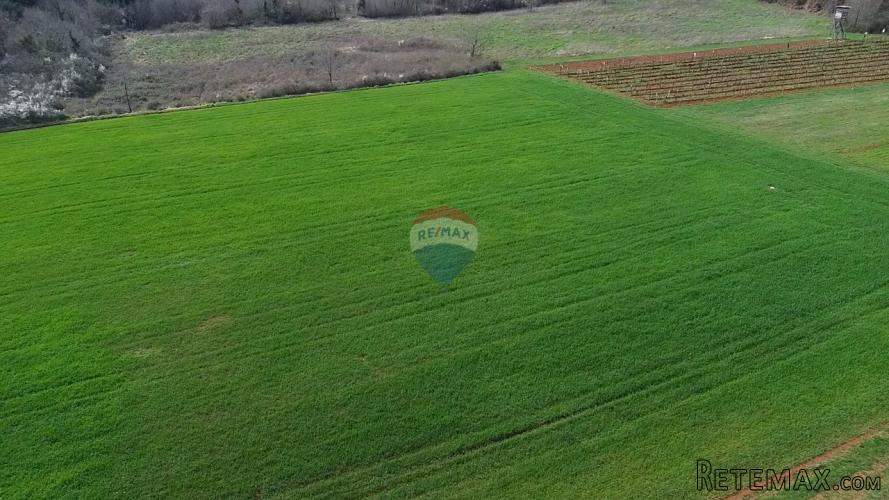 Istra, Vižinada, okolica - oranica 17.273 m² – odmah spremna - 2