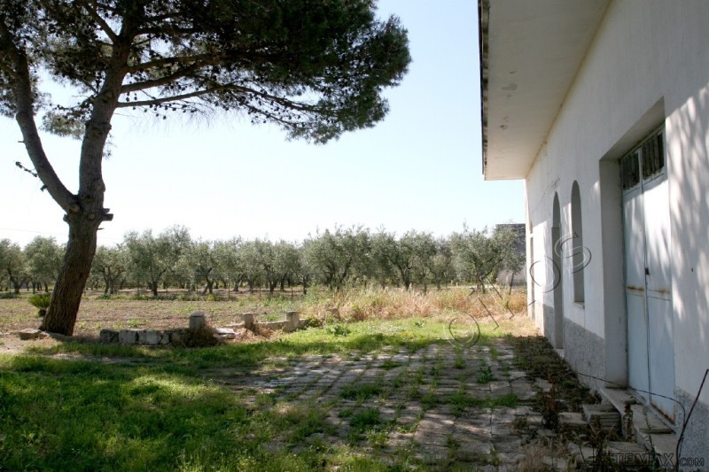 V000150, Countryhouse In Need Of.. - 2