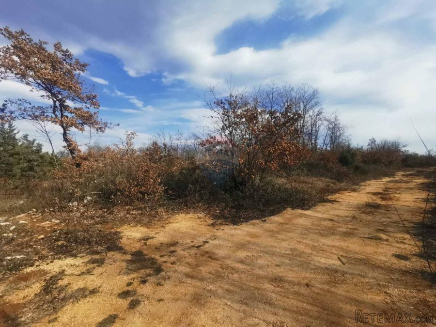 Marčana, negrađevinsko vikend zemljište 436m2