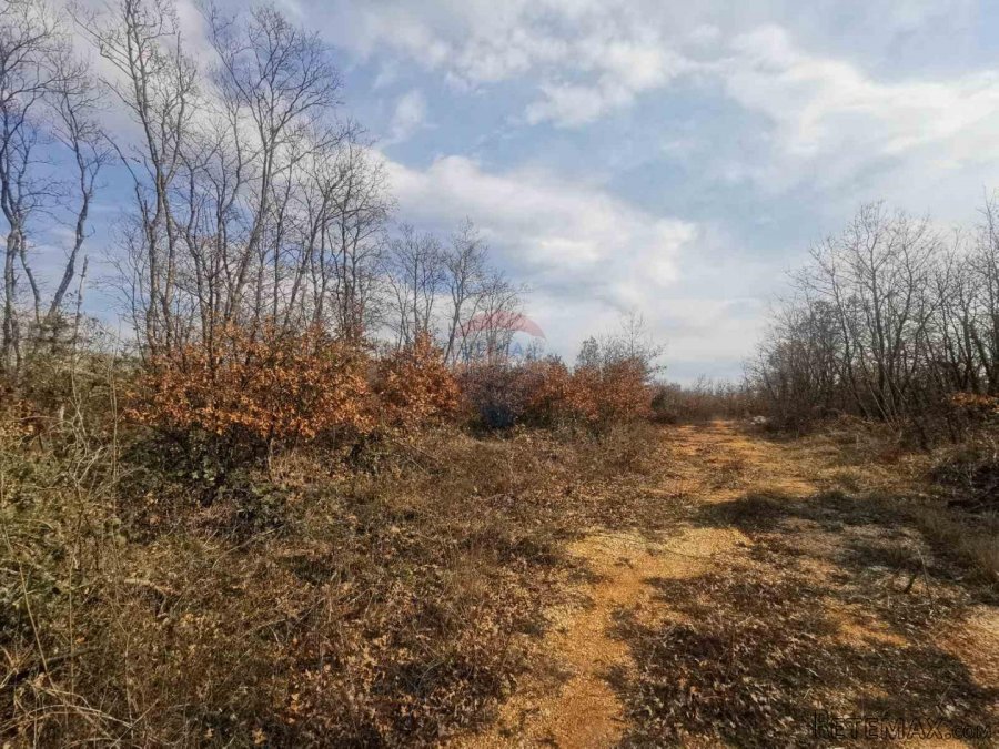 Marčana - negrađevinsko zemljište 415m2