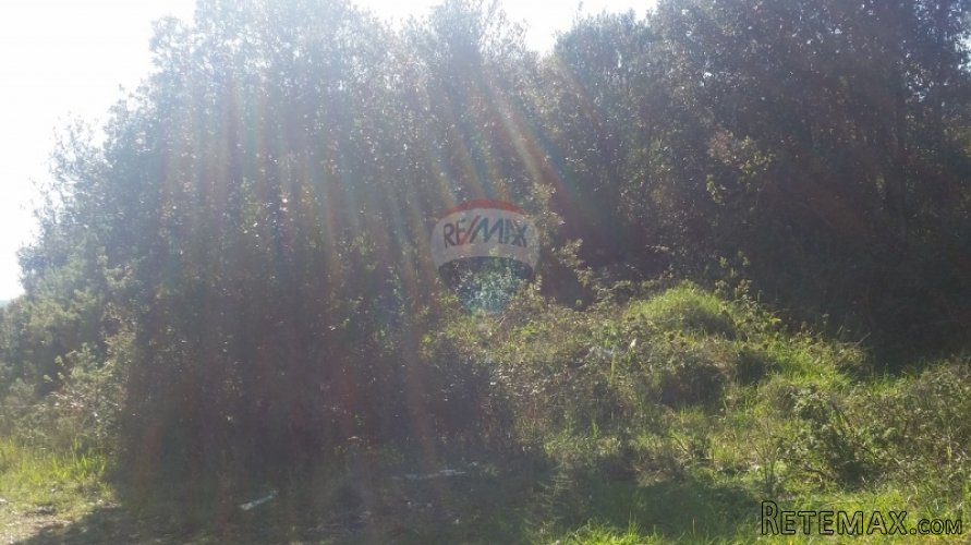 POLJOPRIVREDNO ZEMLJIŠTE U KRNICI!