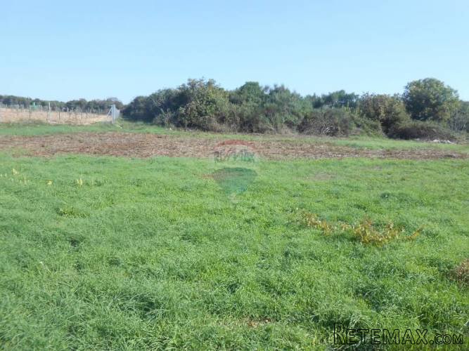 Istra, okolica Pule, građevinsko zemljište 601 m2 - 2