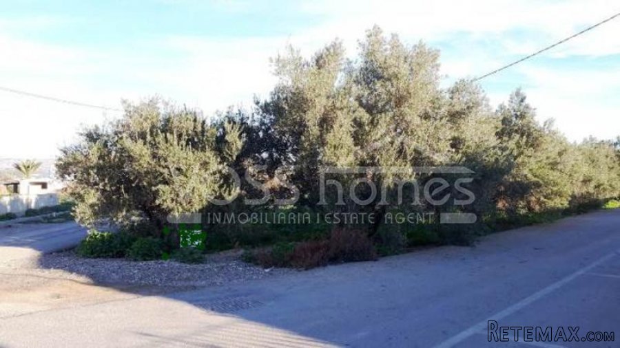 TEMPORARLY OFF THE MARKET Large plot of approx 1126m2.. - 2