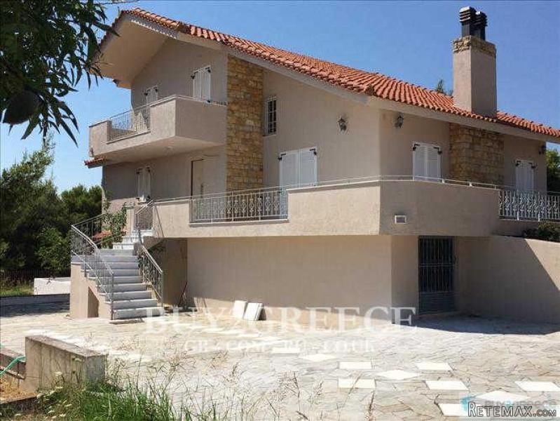 B659 - TO SALE