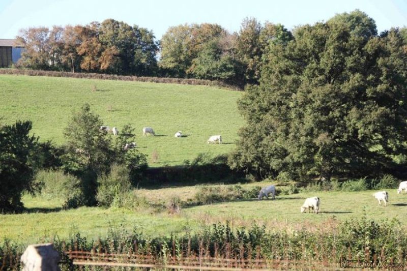 2 Bedrooms - House - Bourgogne - For.. - 2