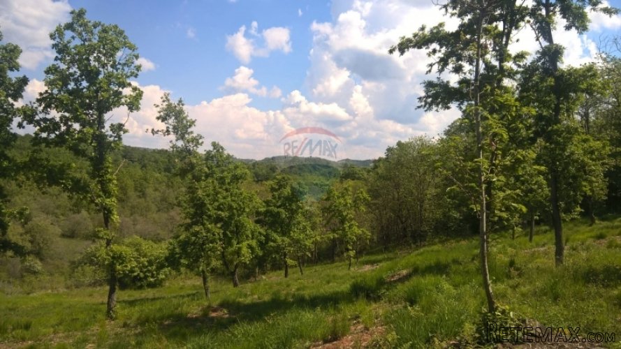 Buje, građevinsko zemljište, 7000m2