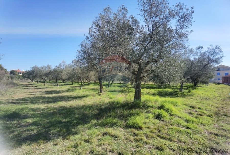 Istra, Galižana - zemljište na rubu urbanizacije