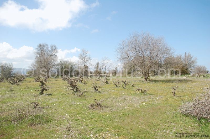- Land - Paphos - For Sale