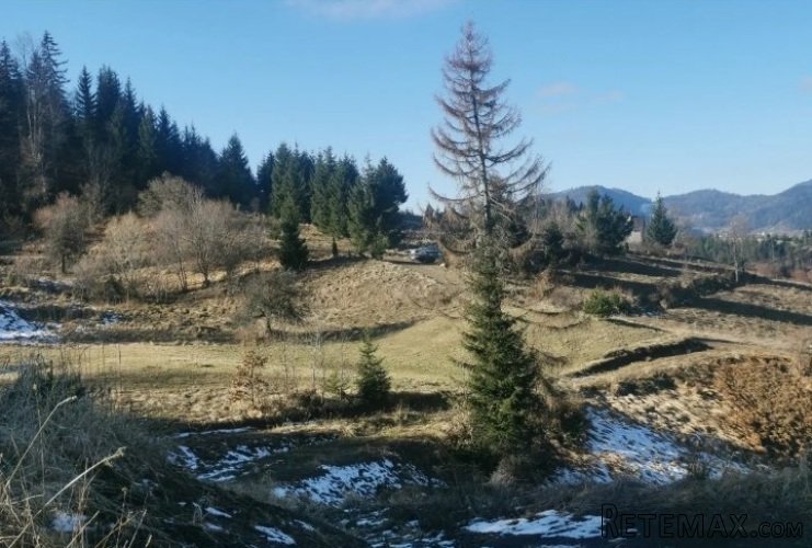 Zaovine/Vasiliči, 44ara - 16