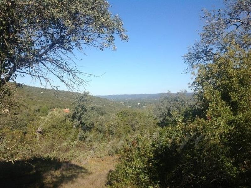 3 bedroom Plot For Sale: Querenca..