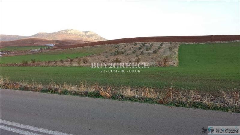 B705 - FOR SALE LAND OF 11200m2