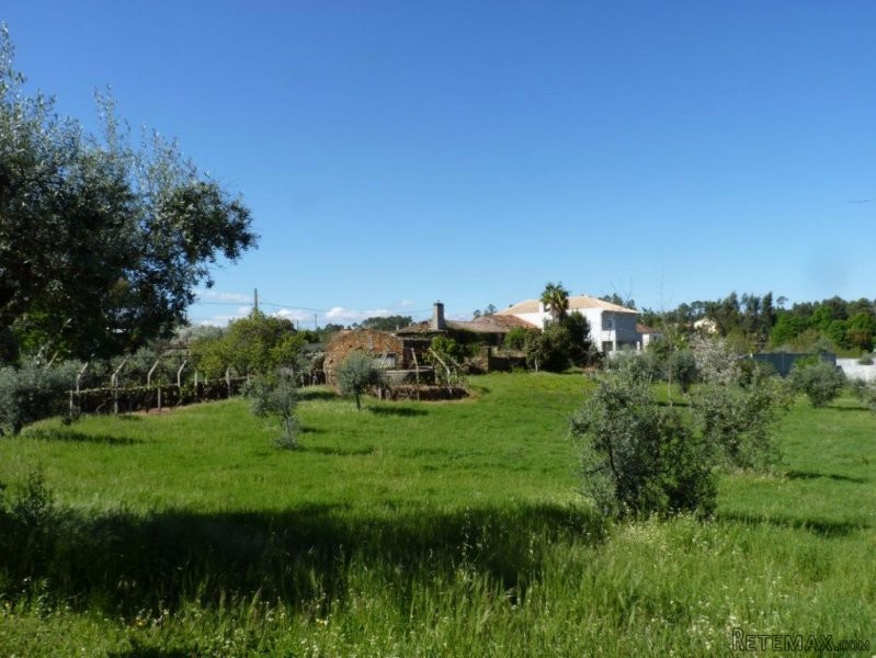 Large ruin to restore with over 11000m2..