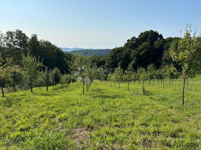 Na prodaju zemljište 8.631 m² s voćnjakom – mir i priroda ! - 2