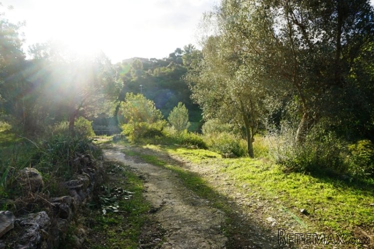 A rare gem of a large plot available for sale in an idyllic.. - 3