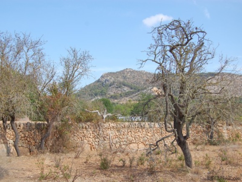 Big Building Plot In Llumajor - 2