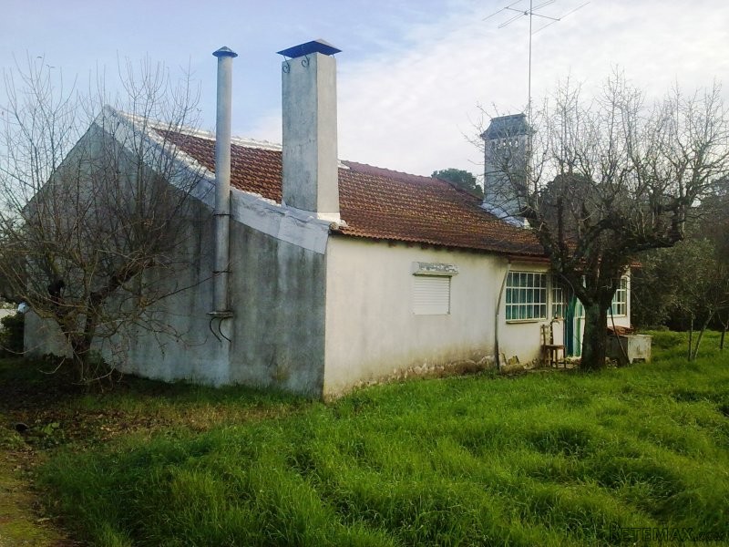 House With Land And Well near Tomar - 2