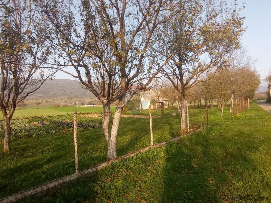 Lika,Otočac,stara kuća sa okućnicom 7650 m2 - 2