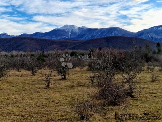 GRAĐEVINSKO ZEMLJIŠTE DIVOSELO 50093 m2 - 2