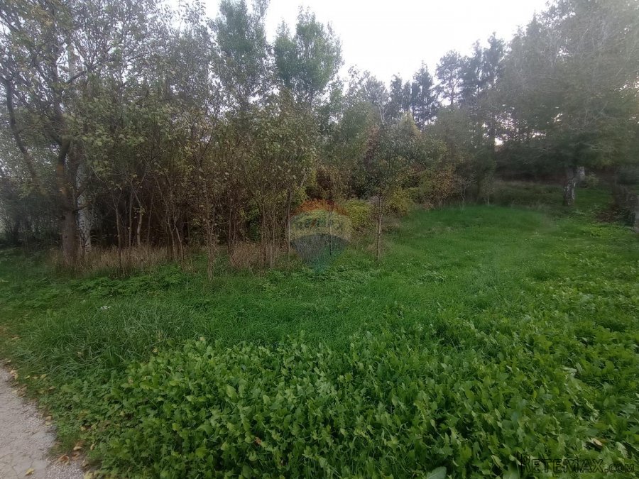 Lika,Otočac,stara kuća sa okućnicom 7650 m2 - 5
