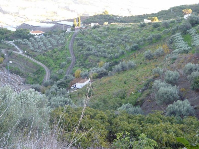 1 Bedroom - Country House - Malaga -.. - 2