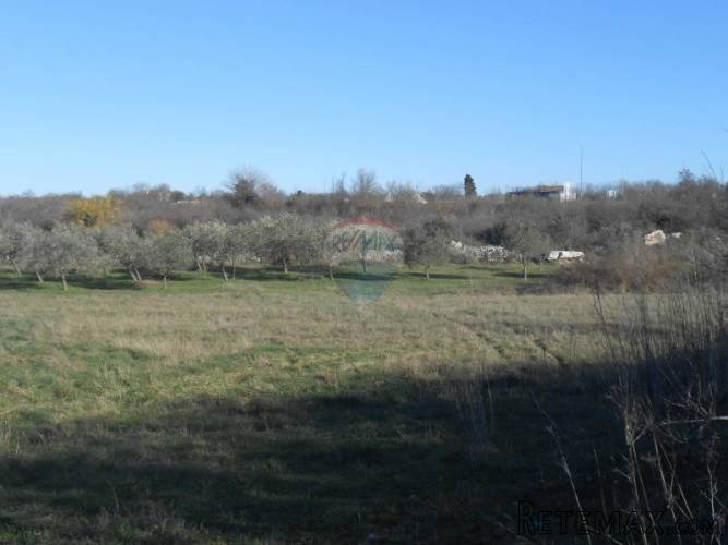Istra, Vodnjan, Šalvela, Poljoprivredno zemljište - 4