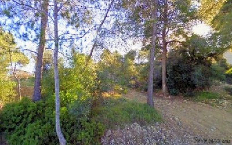 plot in costa de la calma for sale