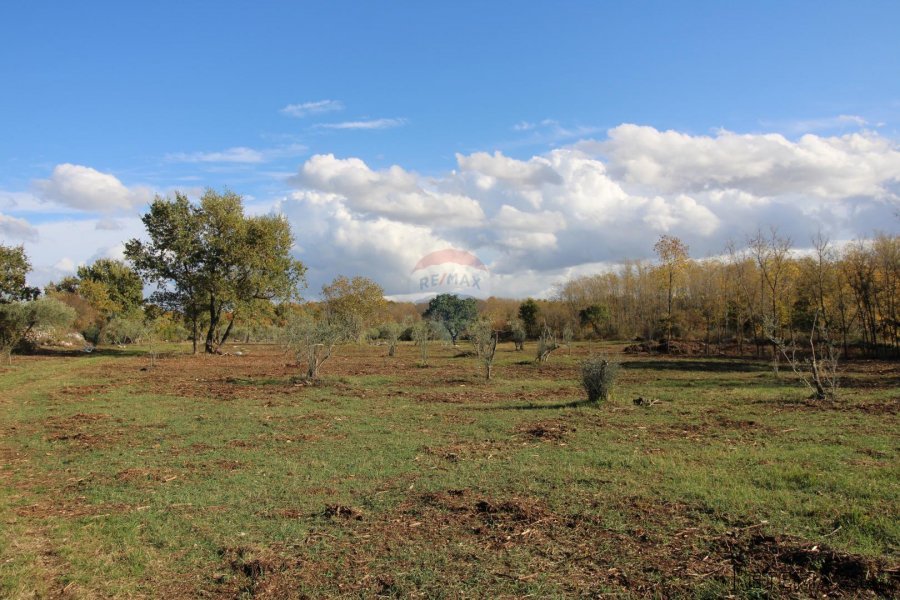 Istra,Kaštelir, Labinci, poljoprivredno zemljište, 8 578 m2 - 4