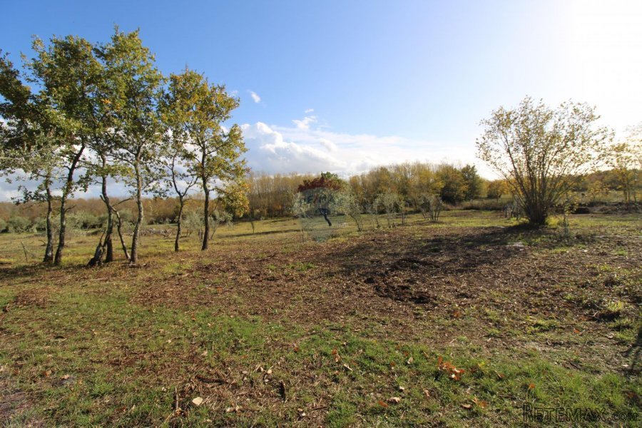 Istra,Kaštelir, Labinci, poljoprivredno zemljište, 8 578 m2 - 7