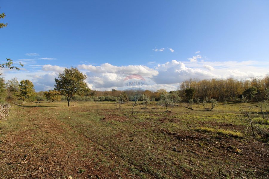 Istra,Kaštelir, Labinci, poljoprivredno zemljište, 8 578 m2 - 8