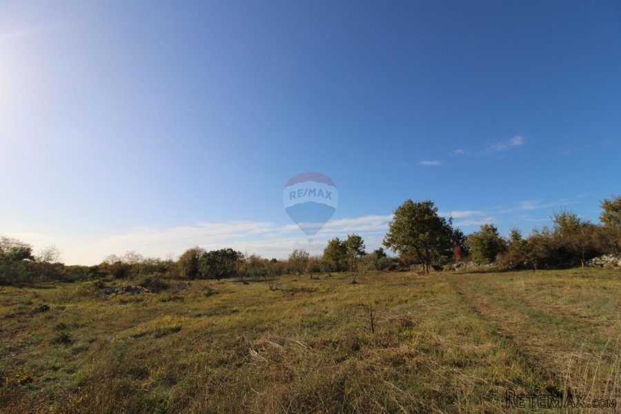 Istra,Kaštelir, Labinci, poljoprivredno zemljište, 8 578 m2 - 10