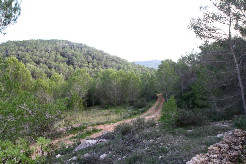 Land near Bambuddah Grove