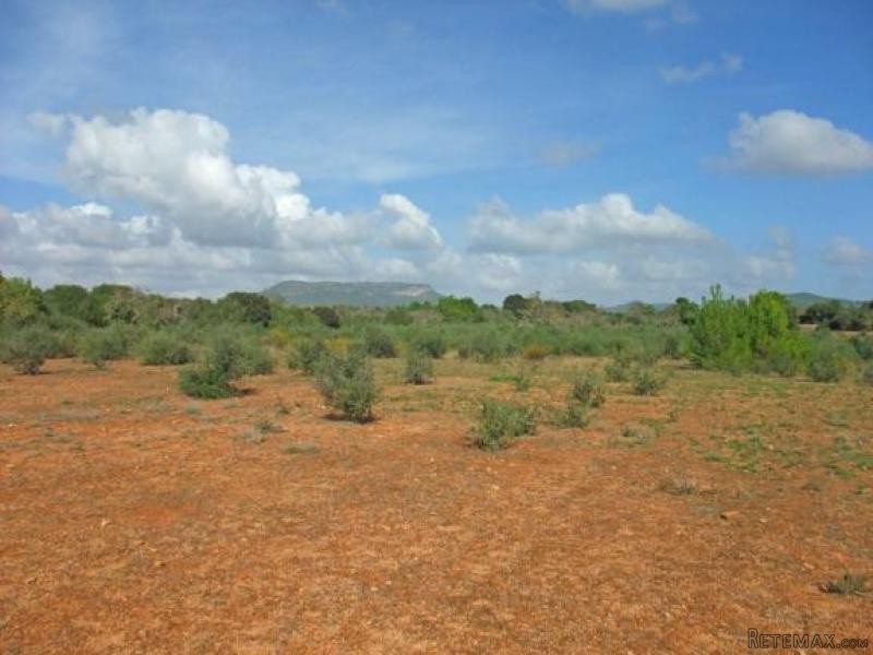 Large Plot With Perfect Location In..