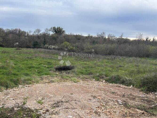 OTOK KRK- Vinograd u prodaji - 3