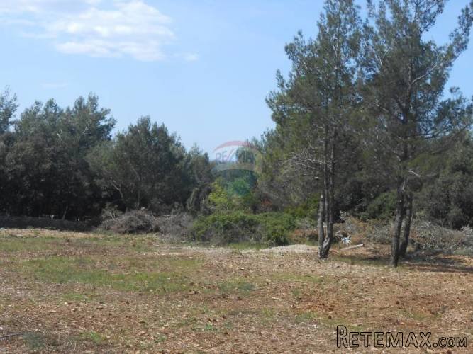 Istra, Marčana, Kavran, parcelirano poljoprivredno zemljište - 2