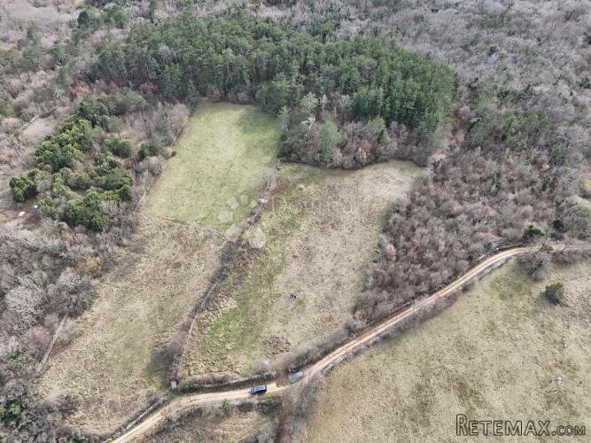 Oaza u srcu prirode u Manjadvorcima 4500m2 - 3