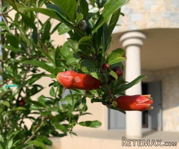 UNIKATNA vila iznimne lokacije (pogled na more) - Biograd na - 3
