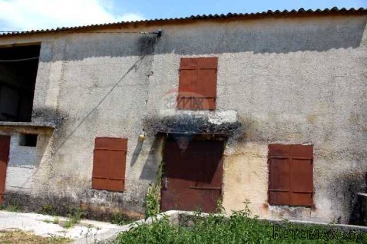 Starina za adaptaciju sa okućnicom - 3
