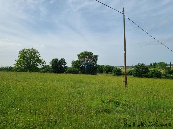 Istra, Žminj - više građevinskih zemljišta 1000 m2