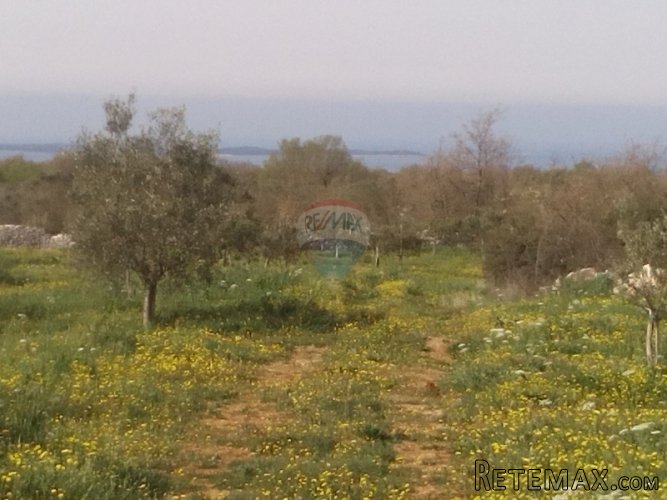 ISTRA, PREKRASNO ZEMLJIŠTE SA POGLEDOM NA BRIJUNE - 2