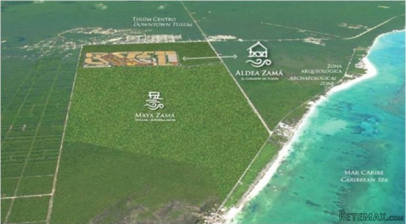 Tulum Statistics