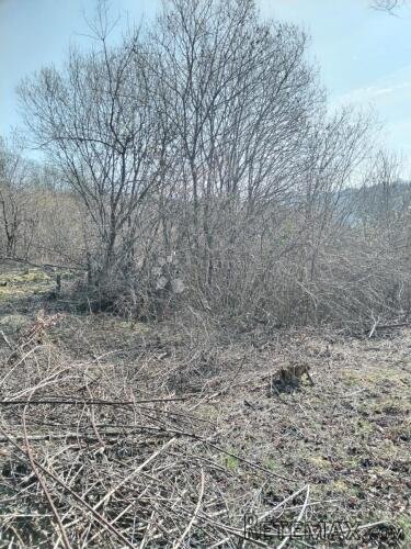 Građevinsko zemljište na prodaju - 3