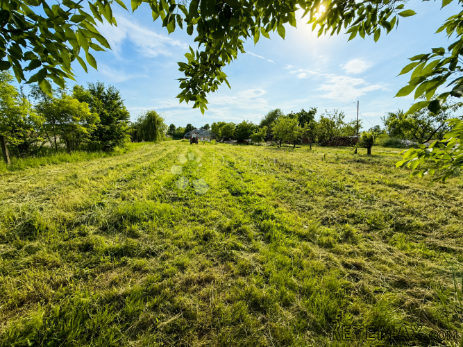 ORANICA 2.315 m² – SATNICA ĐAKOVAČKA - 3