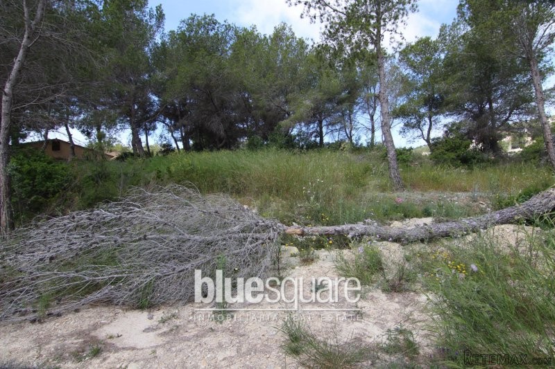 Benissa coast sea view plots - 2