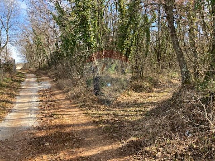 Žbandaj, okolica, šuma 20000 m2